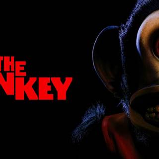 Scary monkey wallpaper