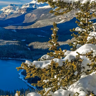 Android winter view wallpaper