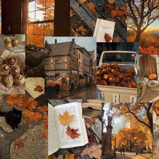 Aesthetic Macbook autumn wallpaper