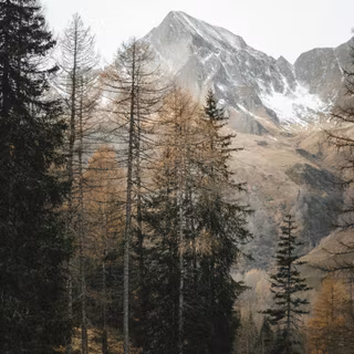 Winter peak wallpaper