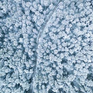 Android winter view wallpaper