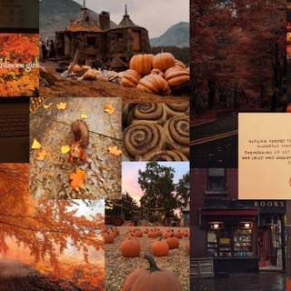 Aesthetic Macbook autumn wallpaper