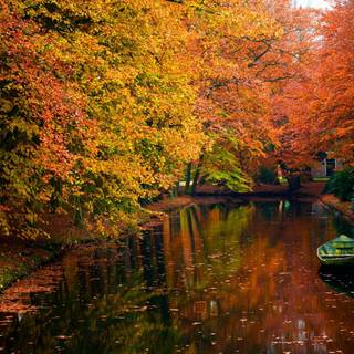 Aesthetic Macbook autumn wallpaper