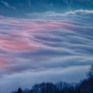 Android winter view wallpaper