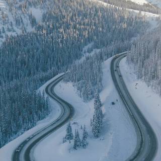 Android winter view wallpaper