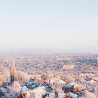 Android winter view wallpaper