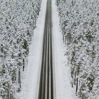 Android winter view wallpaper