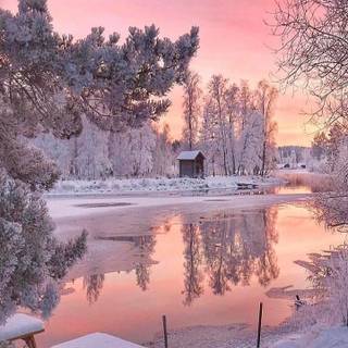 Android winter view wallpaper