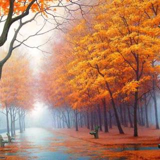 Anime autumn 1920x1080 wallpaper