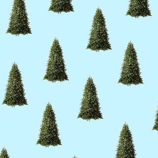 Christmas tree collage wallpaper