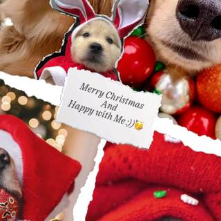 Preppy Christmas dogs wallpaper