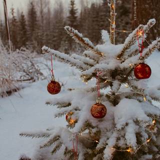 Christmascore wallpaper