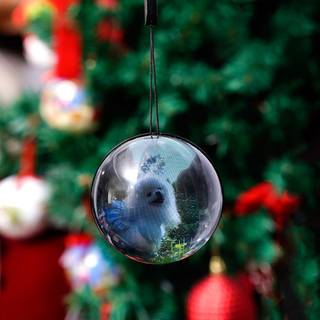 Christmascore wallpaper