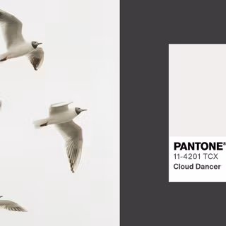 PANTONE 11-4201 Cloud Dancer wallpaper