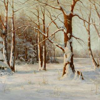 Winter woodland scenes wallpaper