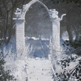 Winter gate forest wallpaper