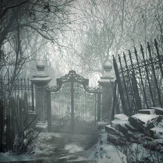 Winter gate forest wallpaper