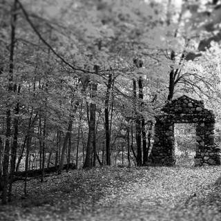 Winter gate forest wallpaper