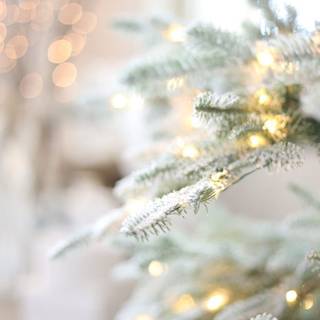 Christmas white aesthetic wallpaper