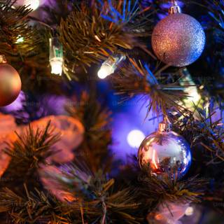 Christmas trees lights wallpaper