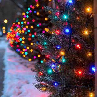 Christmas trees lights wallpaper