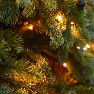 Christmas trees lights wallpaper