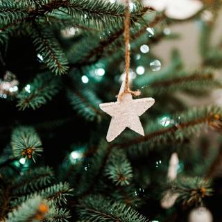 Christmas trees lights wallpaper