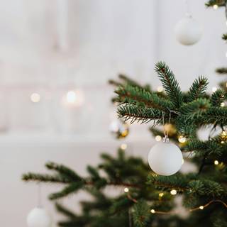 Christmas white aesthetic wallpaper