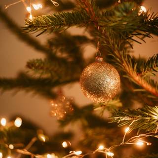 Christmas tree lights 4k wallpaper