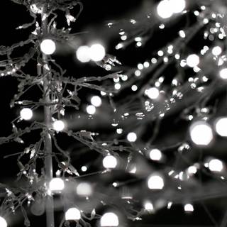 Christmas white aesthetic wallpaper