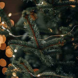 Christmas tree lights 4k wallpaper