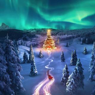 Christmas trees lights wallpaper