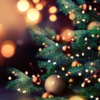 Christmas tree PC wallpaper