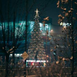 Christmas trees lights wallpaper