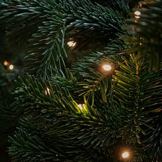 Christmas tree lights 4k wallpaper