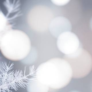 Christmas white aesthetic wallpaper