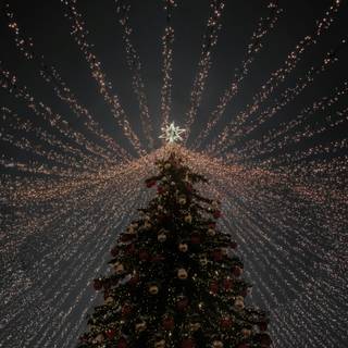 Christmas tree lights 4k wallpaper