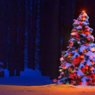Christmas tree PC wallpaper