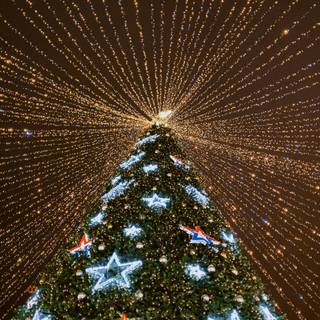 Christmas tree lights 4k wallpaper