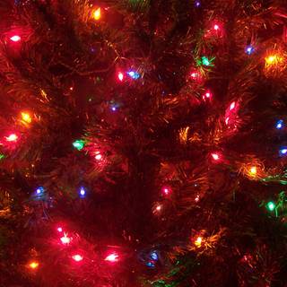 Christmas trees lights wallpaper
