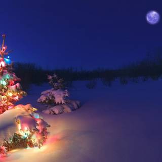 Christmas tree lights 4k wallpaper