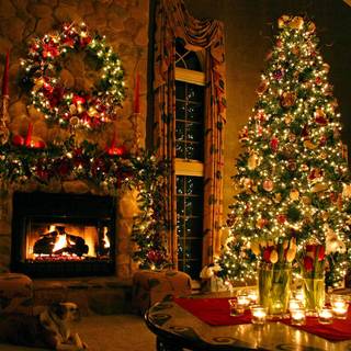 Christmas tree indoor wallpaper