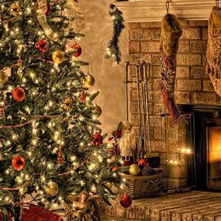 Christmas tree indoor wallpaper