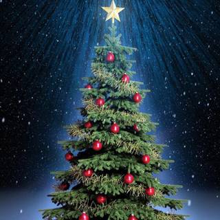 Christmas tree PC wallpaper