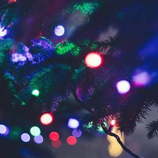 Christmas tree lights 4k wallpaper
