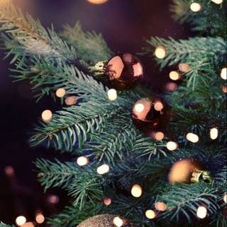 Christmas tree balls wallpaper