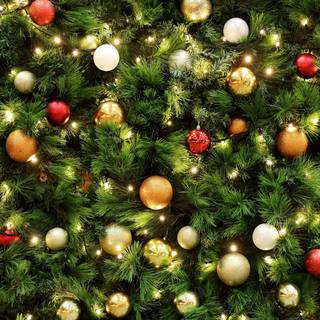 Christmas tree balls wallpaper