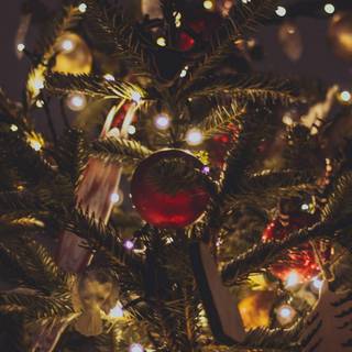 Christmas tree Android wallpaper