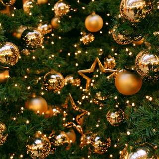 Christmas tree PC wallpaper