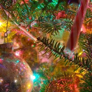 Christmas tree PC wallpaper